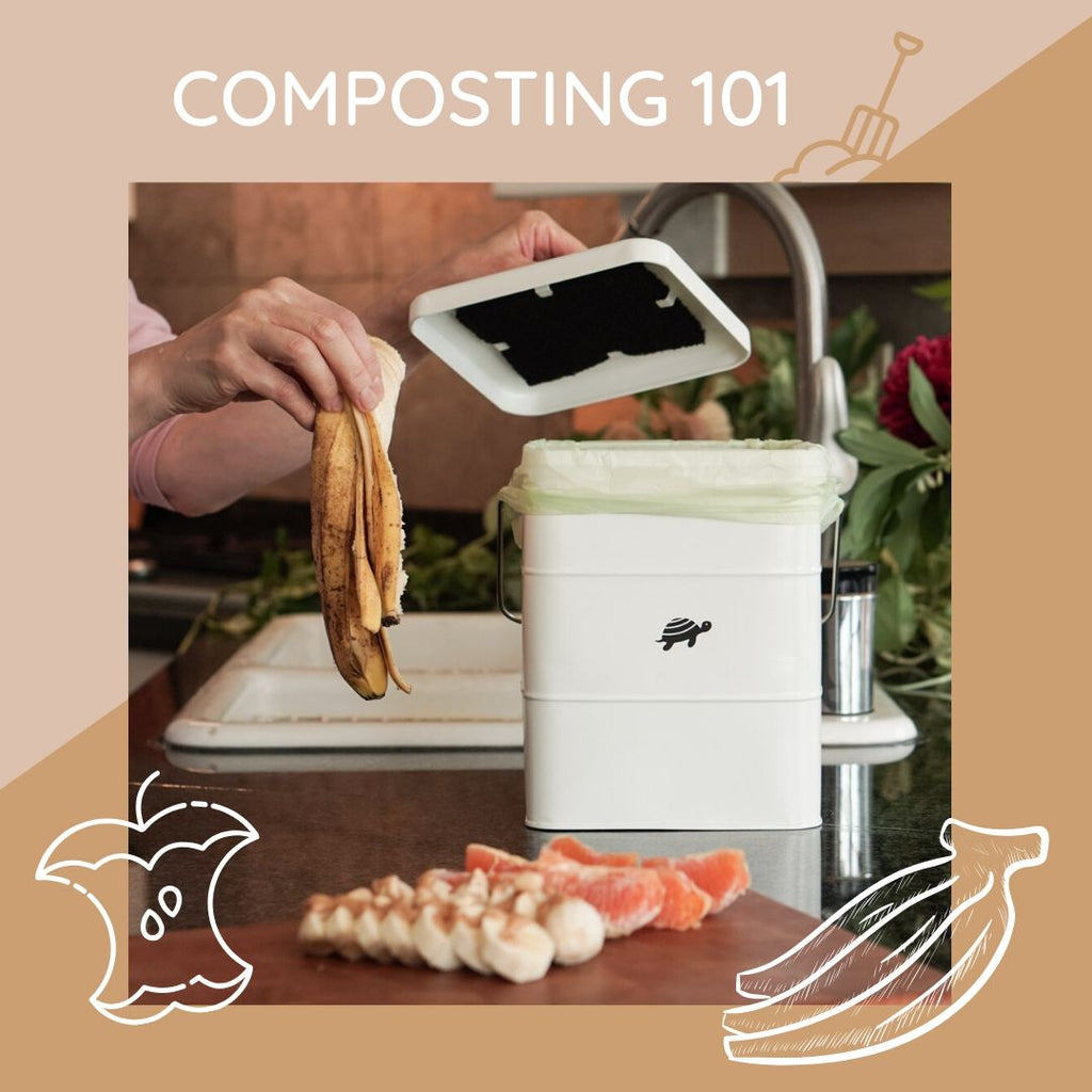beginners guide to composting at home
