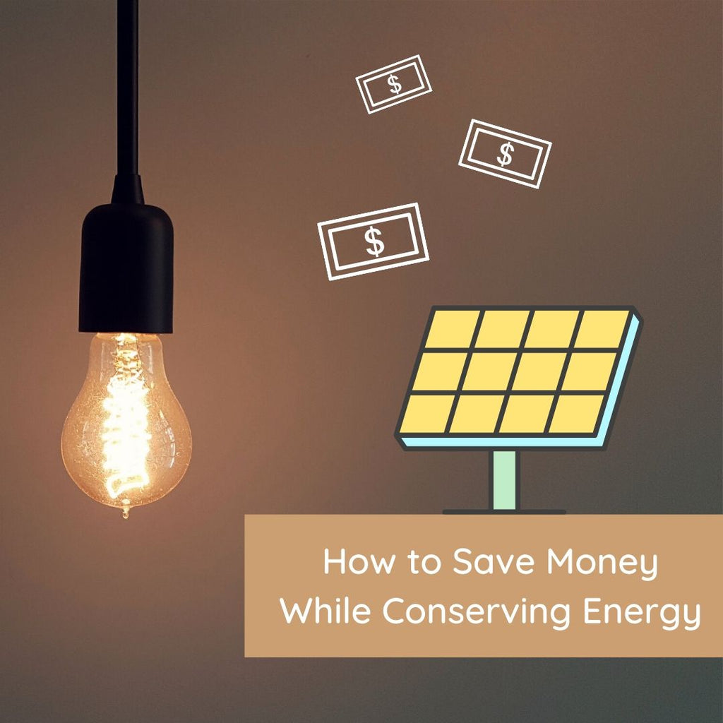 how to save money while conserving energy