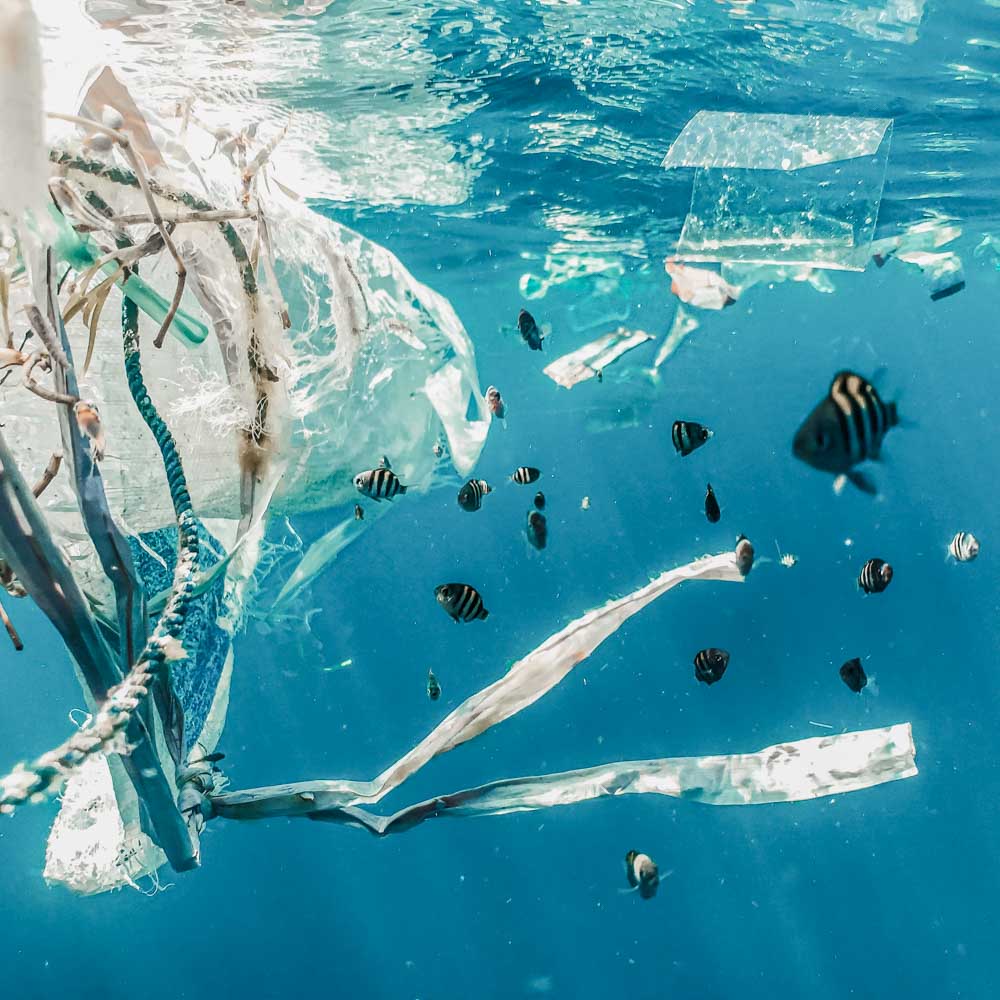 Fish in the ocean surrounded by plastic waste and pollution.