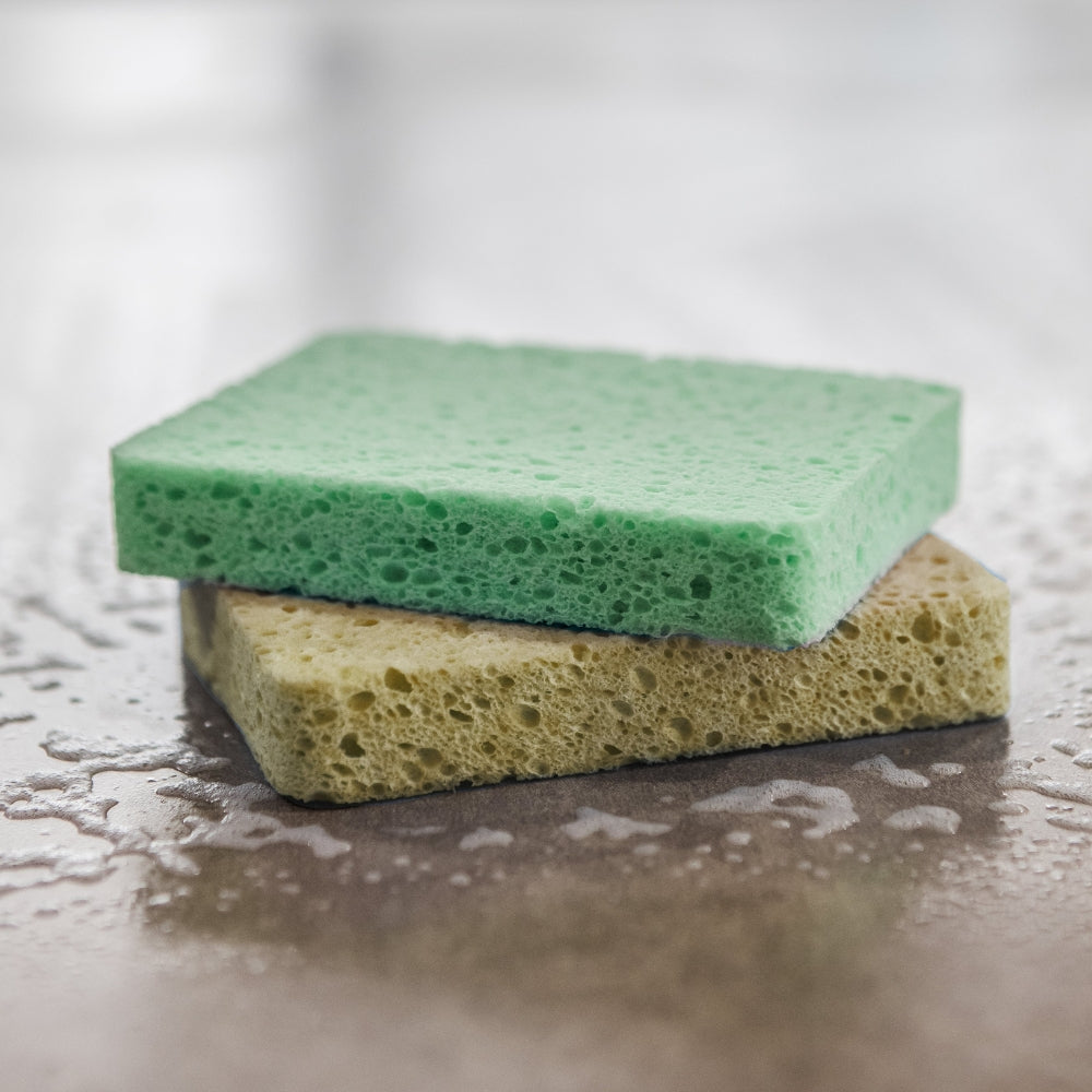 What Are Cellulose Sponges, and When Should You Use Them?