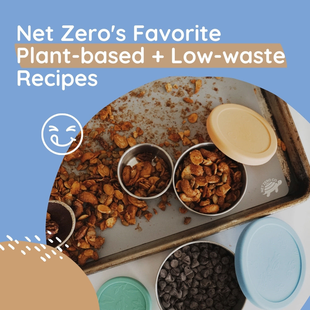 Net Zero's Favorite Plant Based & Low Waste Recipes