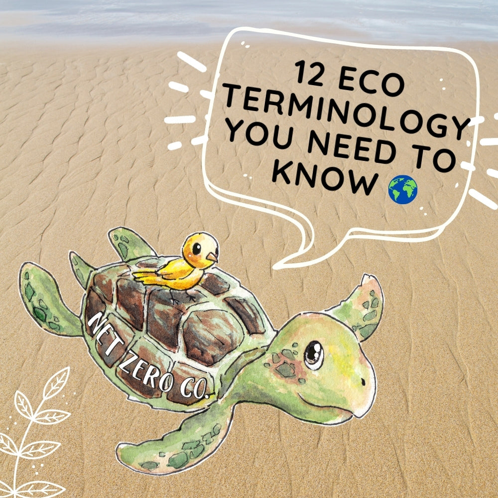 12 Eco Terminology You Need To Know