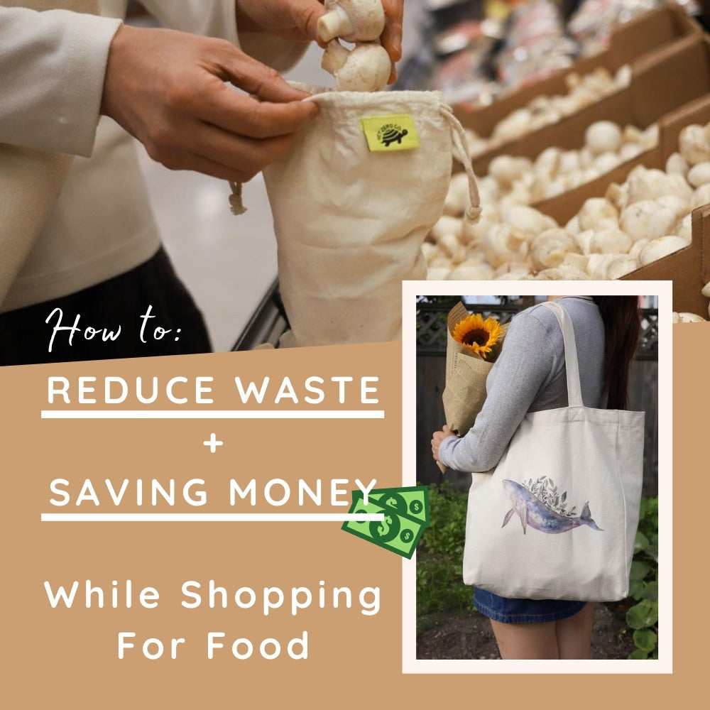 Ways To Reduce Waste AND Save Money When Shopping for Food