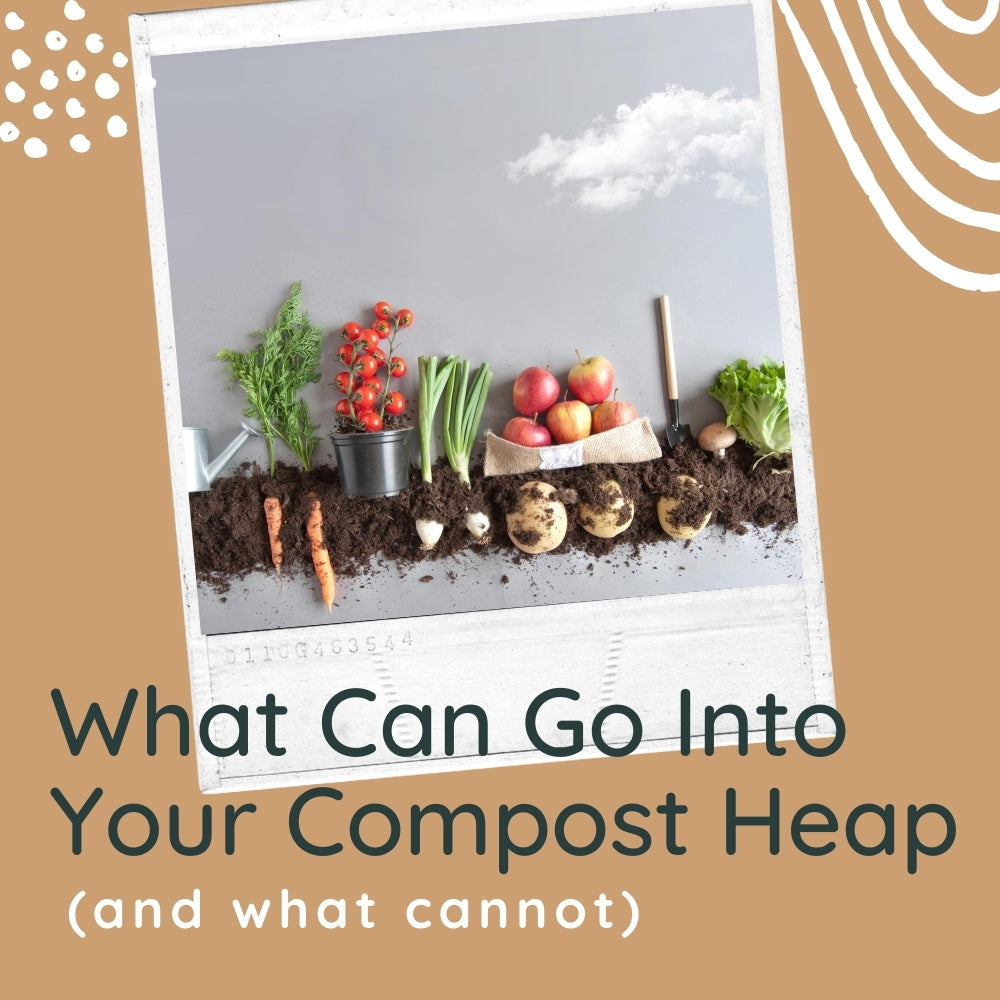 What Can Go Into Your Compost Heap (And What Can't)