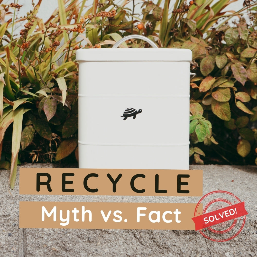 All You Need to Know About Recycling: Myths Vs Facts