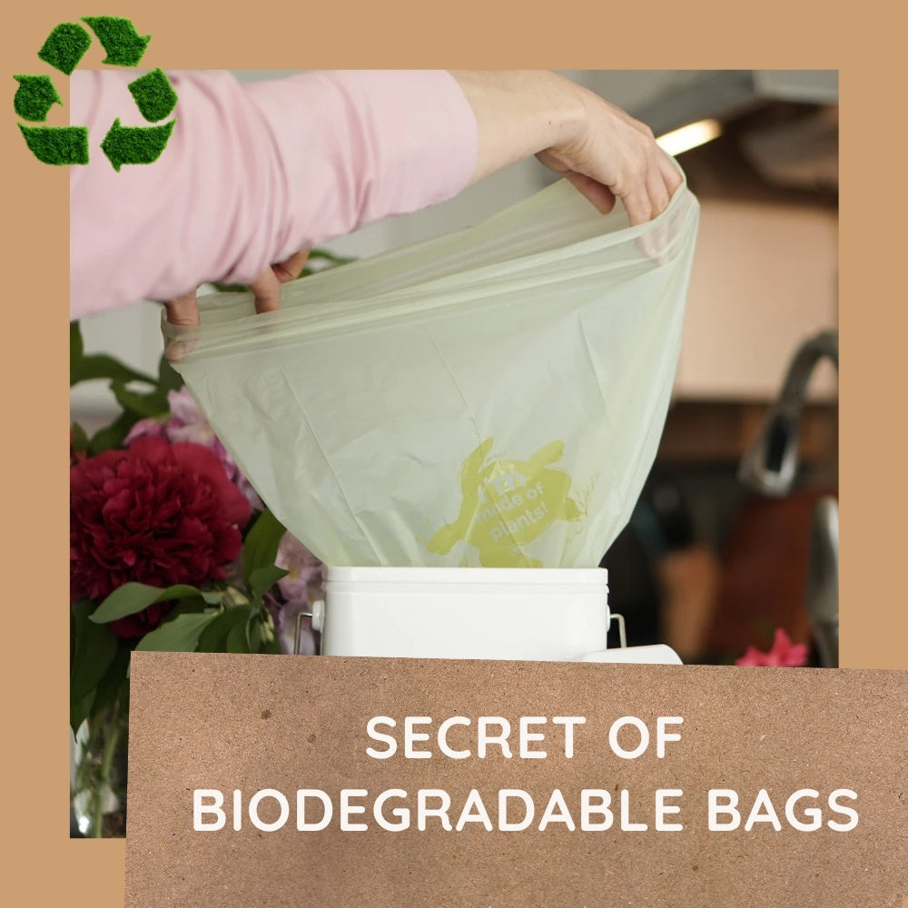 Guide to Choosing Biodegradable Bags