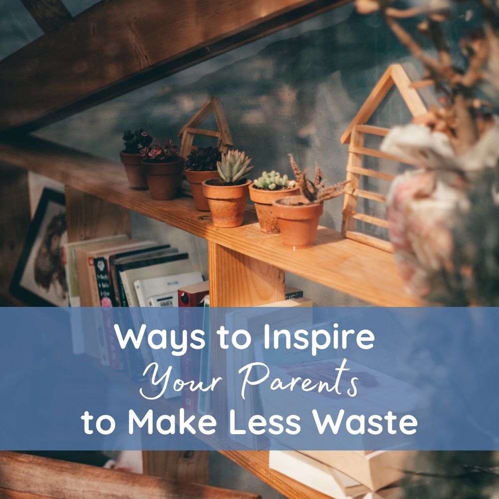 How To Go Zero Waste When Living With Parents