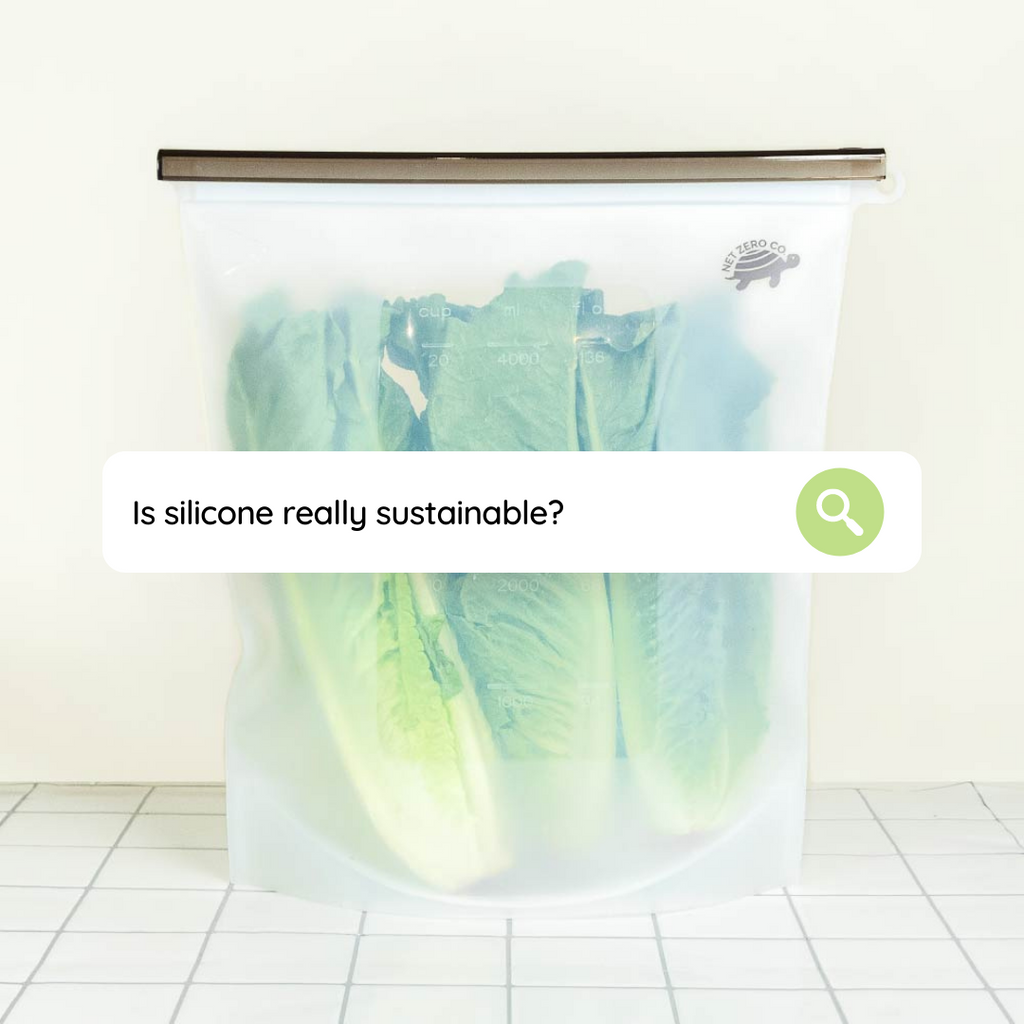A silicone sealer bag with 3 heads of fresh romaine lettuce in it.