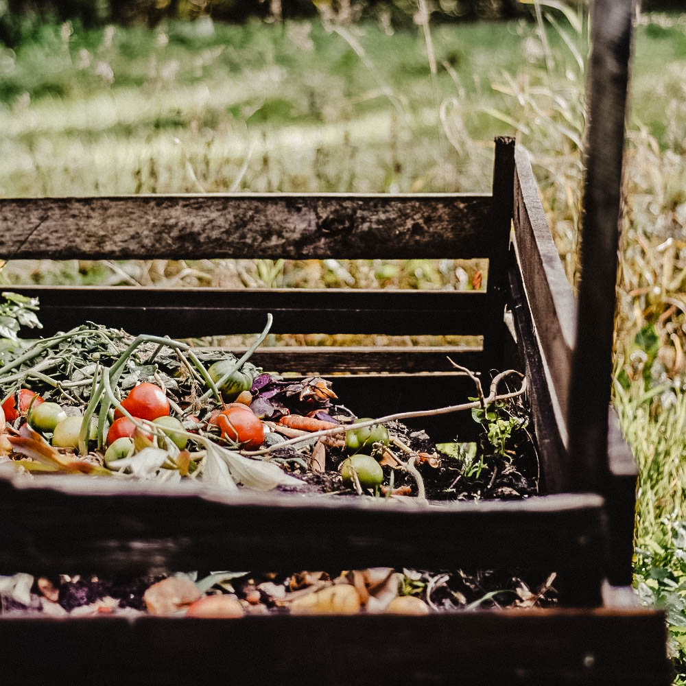 Compost in a home composter.