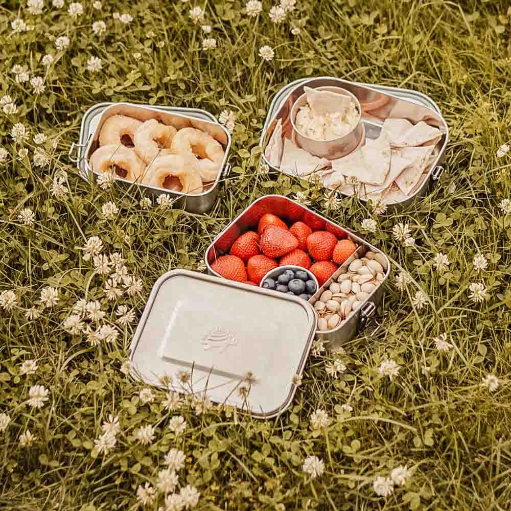 Stainless Steel munchie boxes with fruits and snacks on grass.
