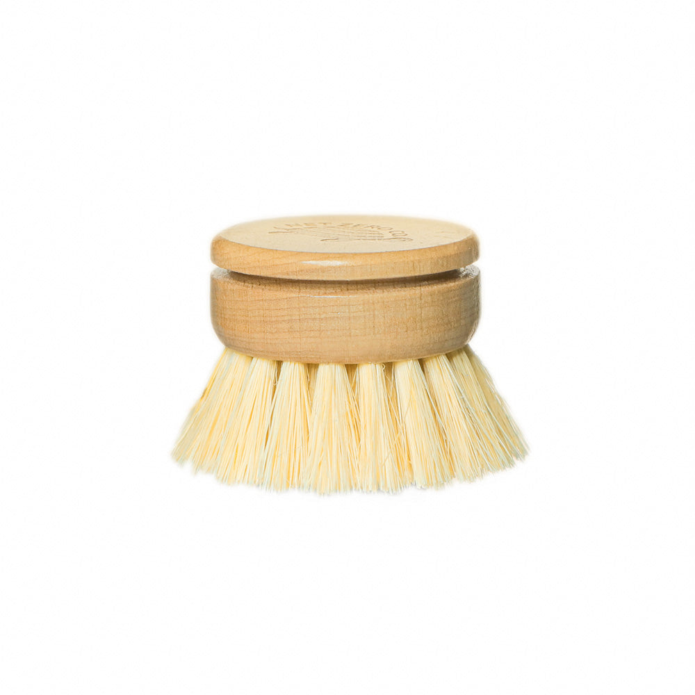 Dish Brush - Replacement Head Only